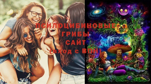 бошки Снежинск